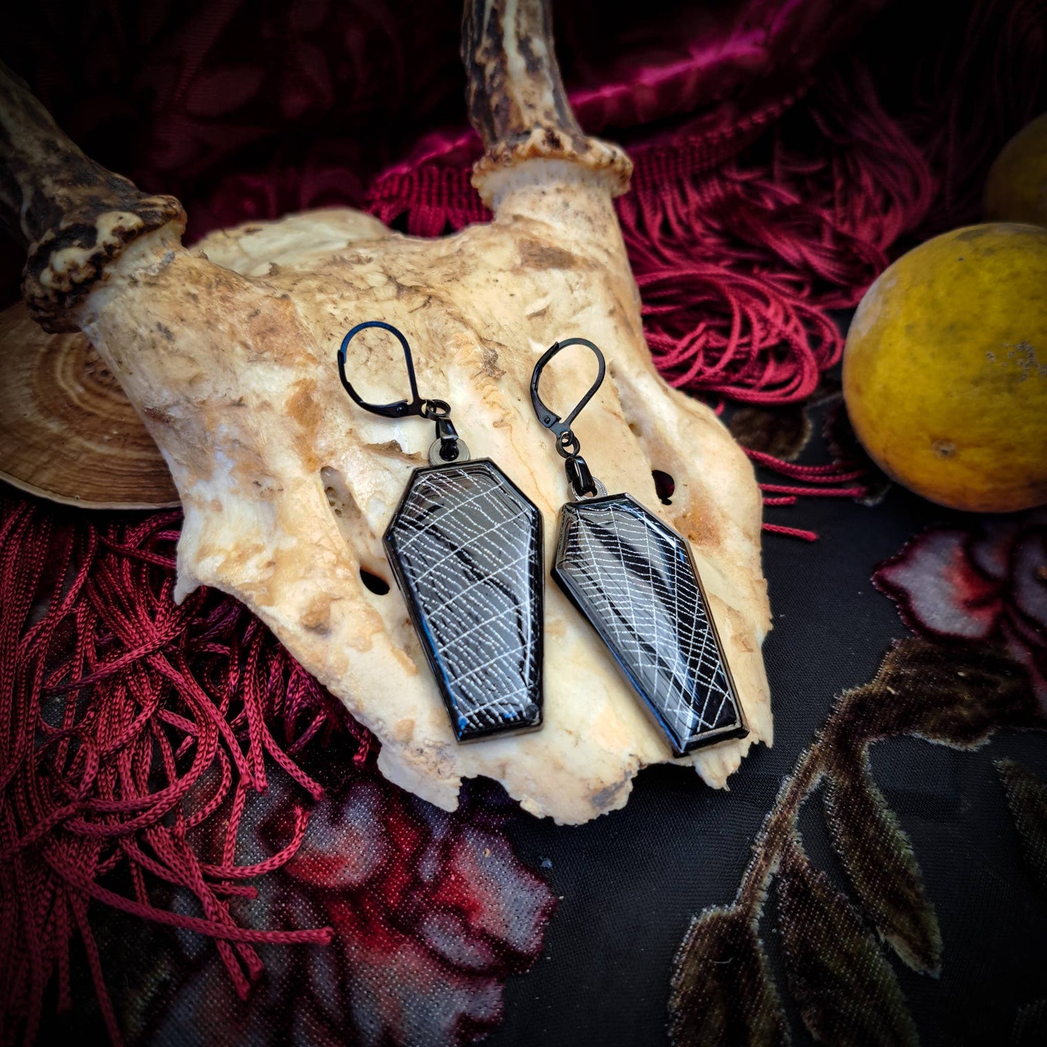 Real Spiderweb Coffin Black Earrings