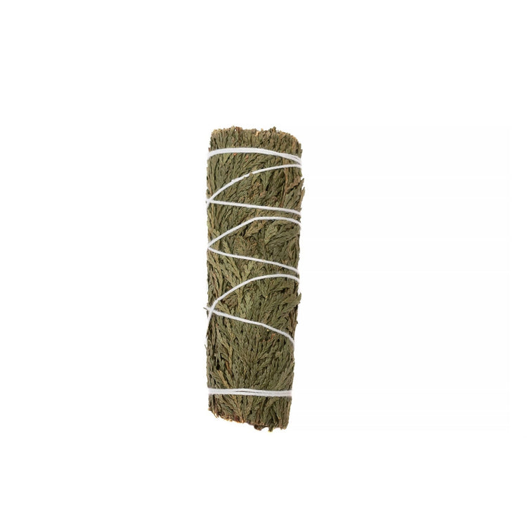 Bundle of sage tied with white string on a white background