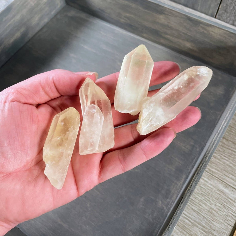 Citrine Crystal Shards