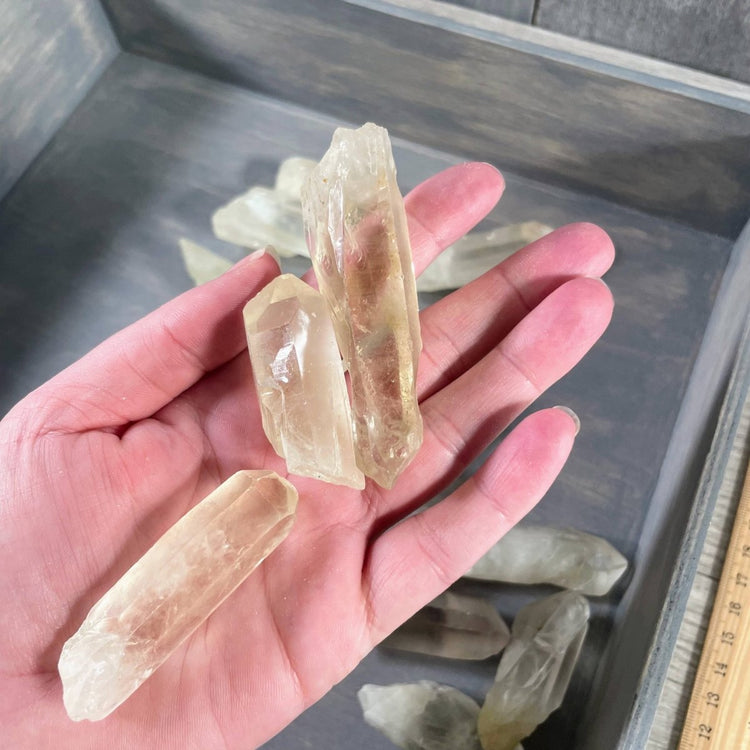 Citrine Crystal Shards