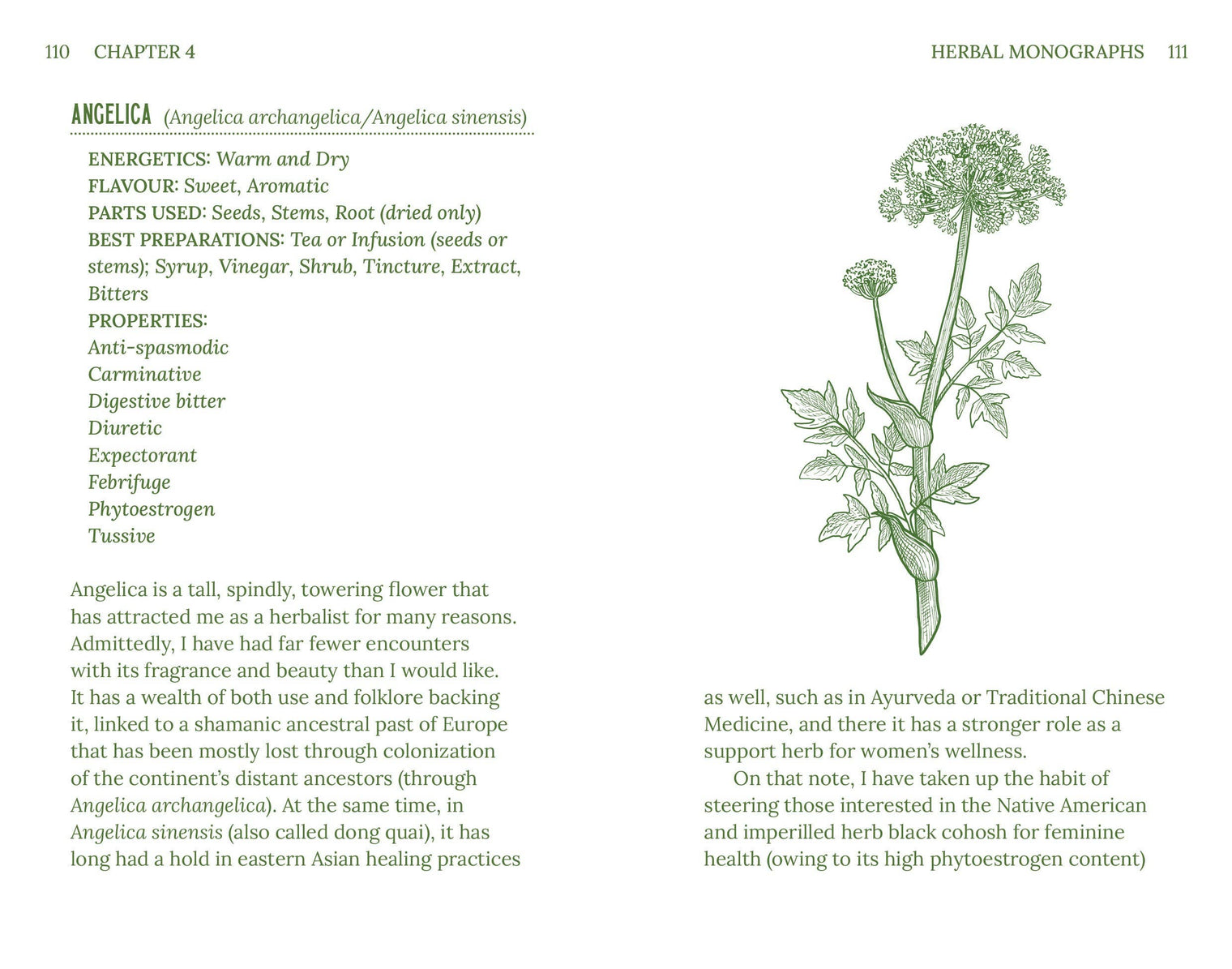 Herbalism by Adrian White back cover