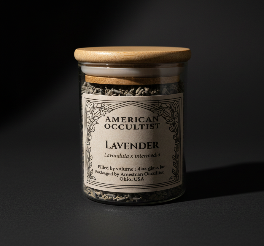 Jar of dried French lavender flower buds with wooden lid on a dark background