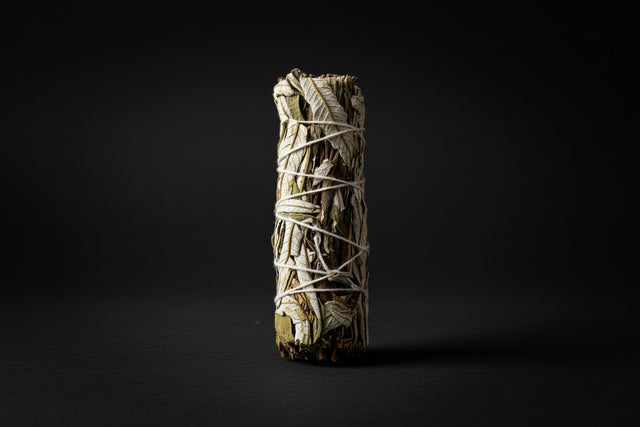 Bundle of sage sticks tied with white string on a white background