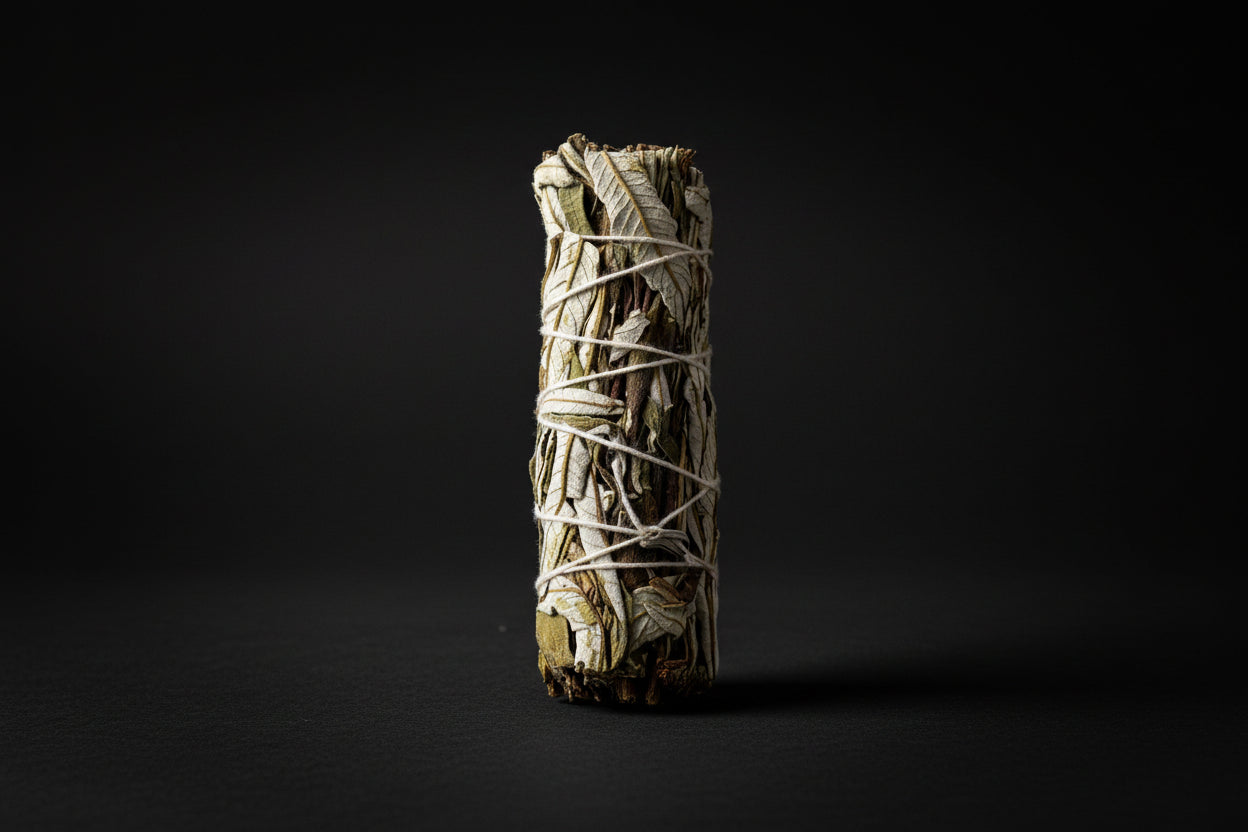 Bundle of sage sticks tied with white string on a white background
