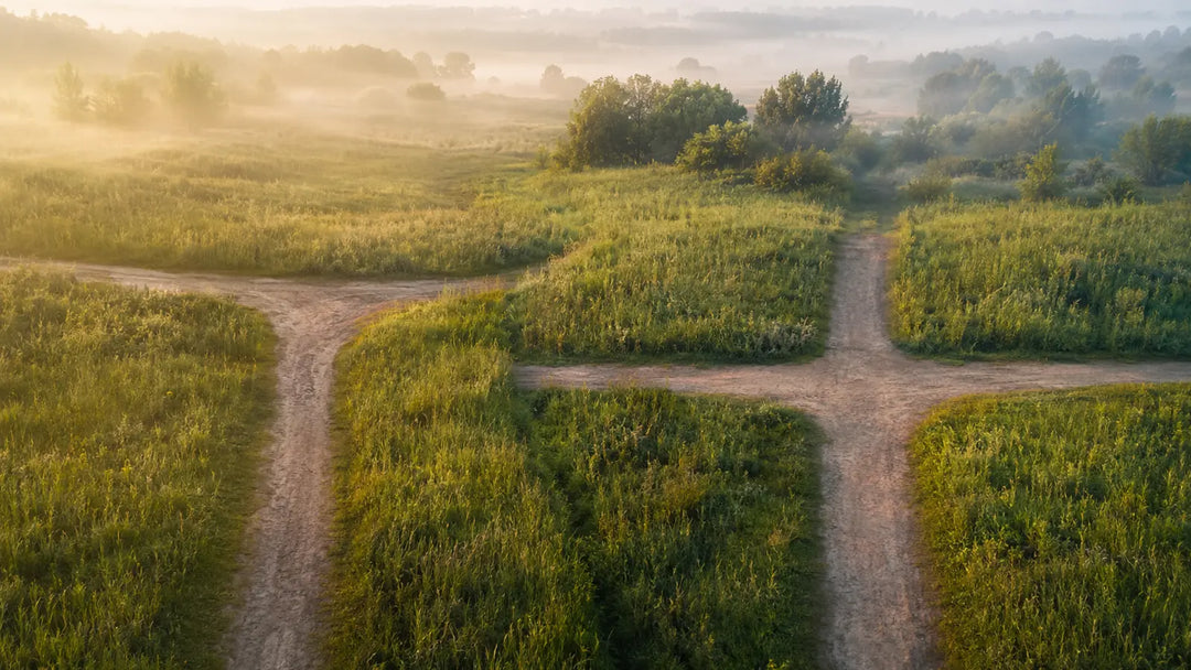 Three-way and four-way dirt path junctions in a misty meadow illustrating why crossroads are liminal