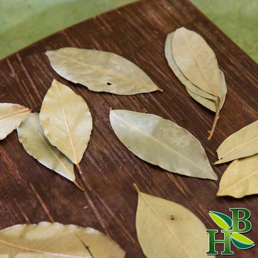 Cut &amp; Crushed Bay Leaves (Laurus nobilis) – Ritual Herb