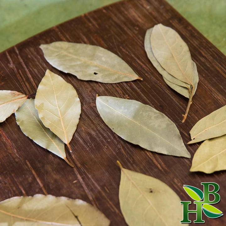 Cut &amp; Crushed Bay Leaves (Laurus nobilis) – Ritual Herb