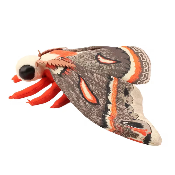 Cecropia Moth Plush Toy