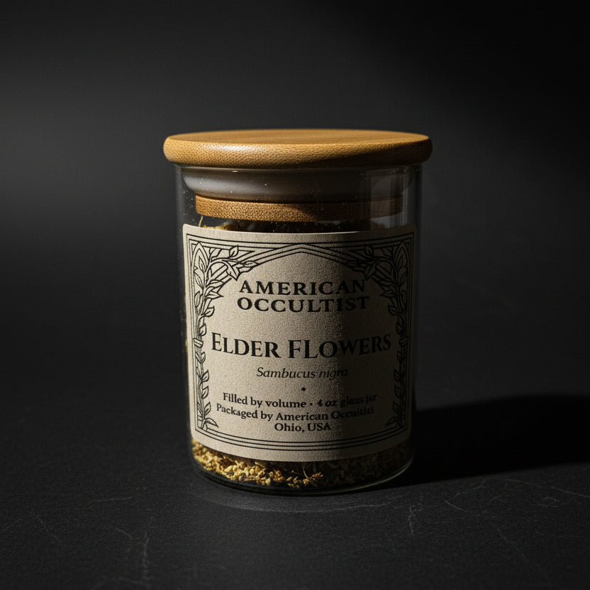 Whole dried elder flowers (Sambucus nigra) in a labeled glass ritual herb jar