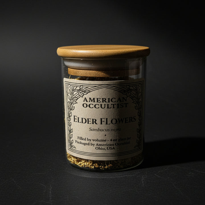 Elder Flowers (Sambucus nigra) – Ritual Herb Jar
