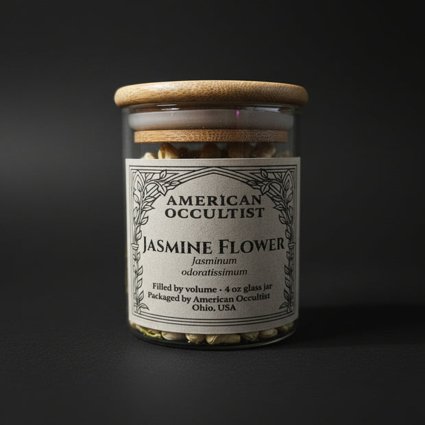 Whole dried jasmine flowers (Chrysojasminum odoratissimum; syn. Jasminum odoratissimum) in a labeled glass ritual herb jar