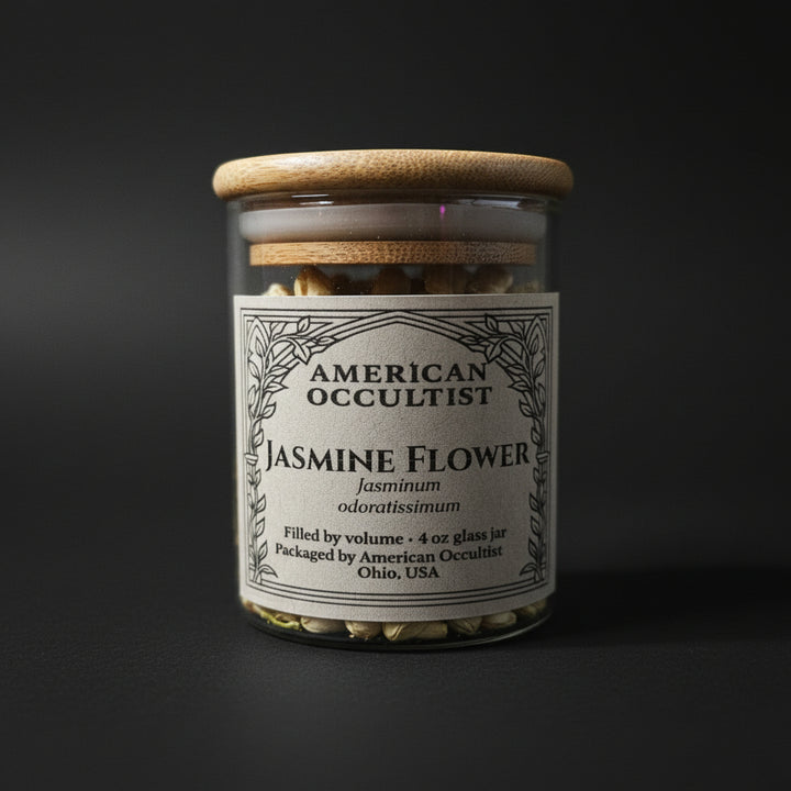 Jasmine Flower (Chrysojasminum odoratissimum) – Ritual Herb Jar