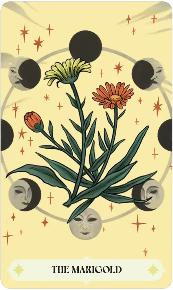 Herbana Witch Oracle card artwork view 2