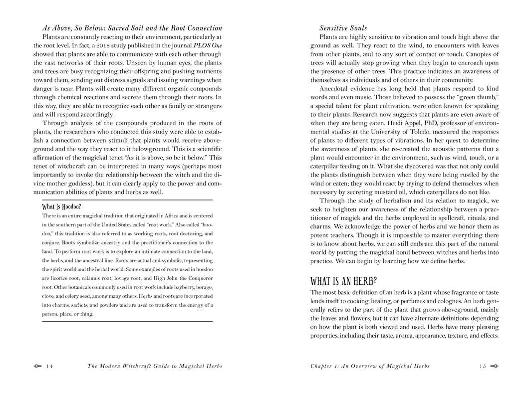Modern Witchcraft Guide to Magickal Herbs back cover