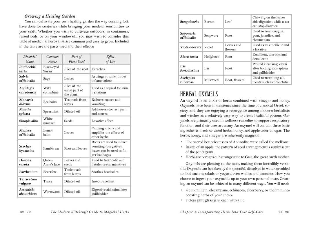 Magickal Herbs book interior page view 2