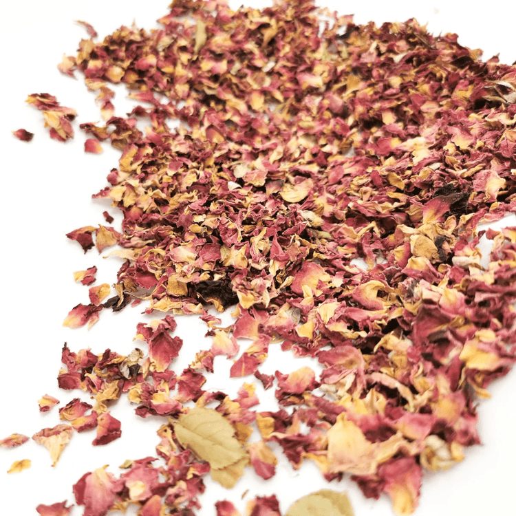 Dried rose petals on a white background