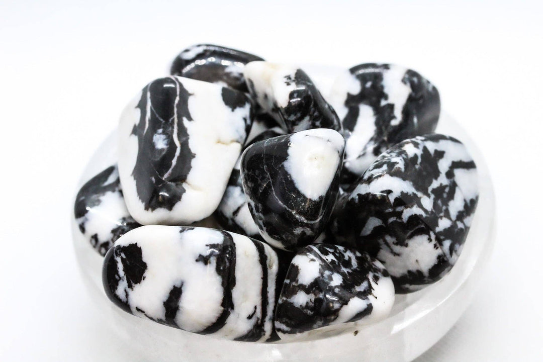 Polished Tiger Calcite stones with black, white, cream, and gray banding