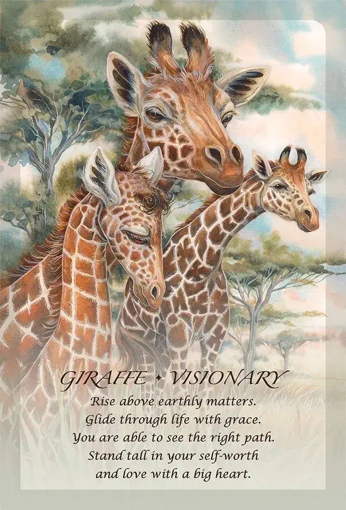 Spirit of the Animals Oracle guidebook and cards
