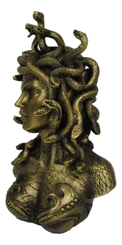 Medusa bust side view