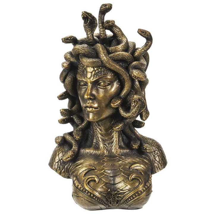 Medusa bust front view