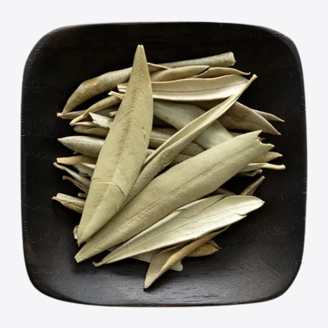 Olive Leaf (Olea europaea) – Ritual Herb Jar