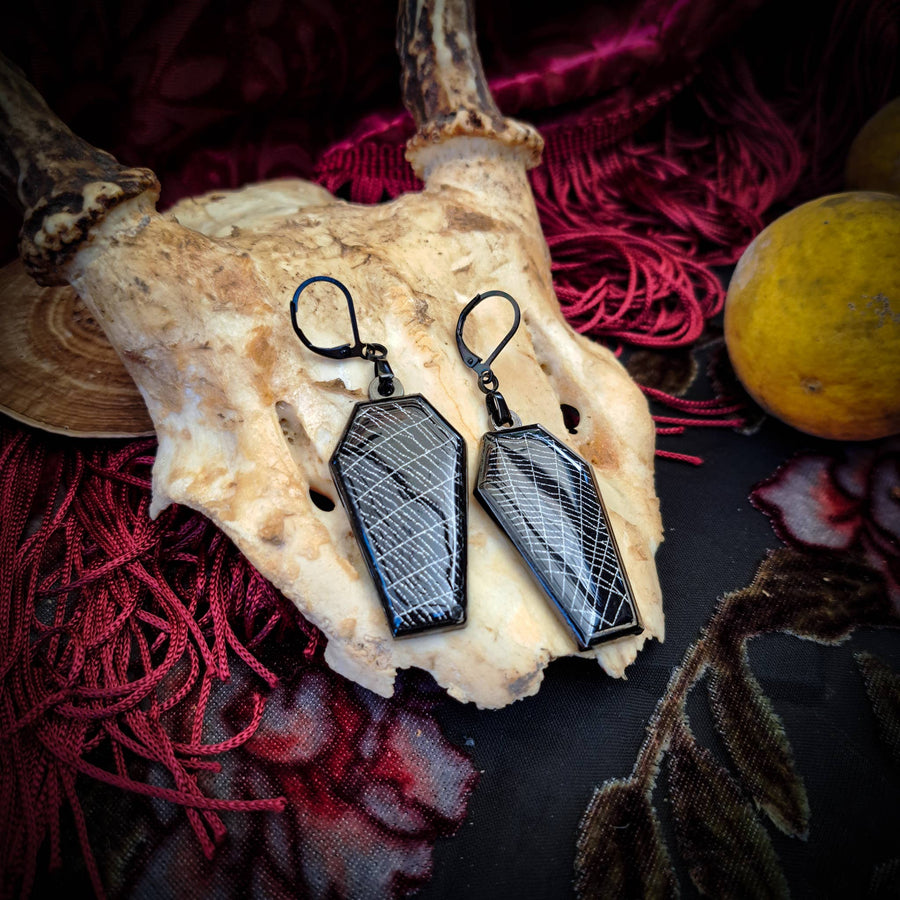 Real Spiderweb Coffin Black Earrings