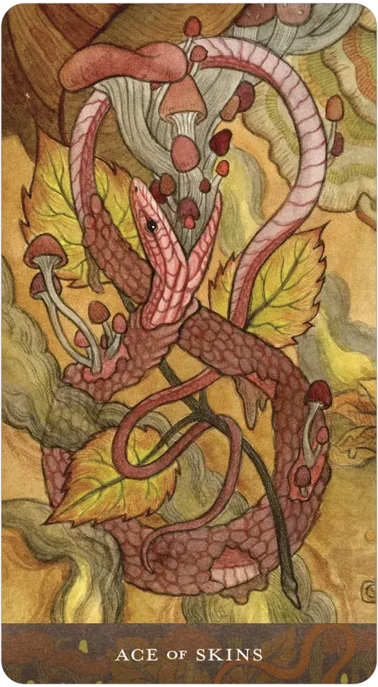 Blood Moon Tarot card artwork view 4