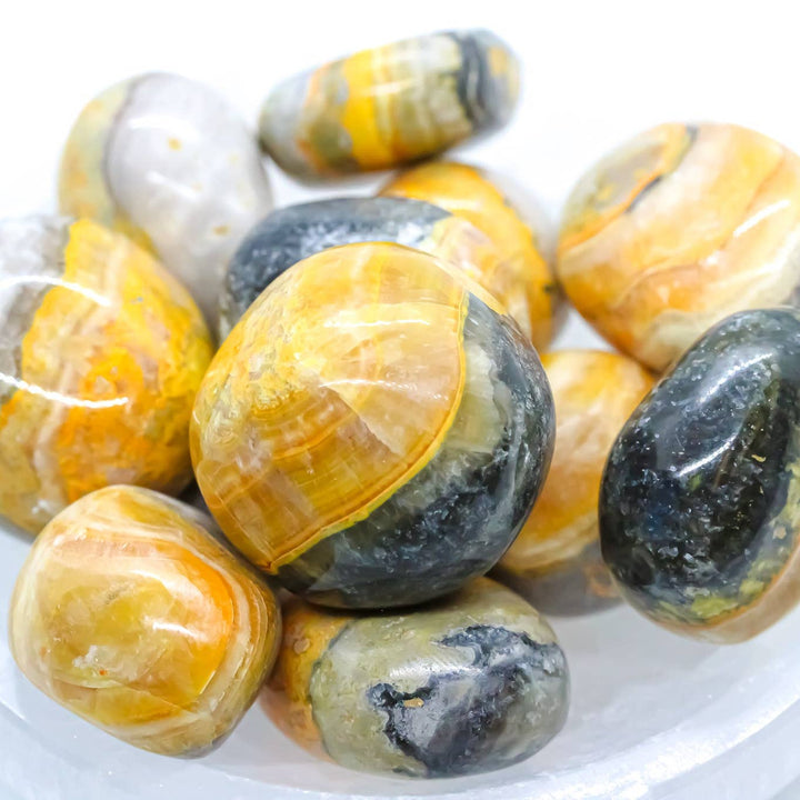 Polished Bumble Bee Jasper stones with yellow-orange and dark banding