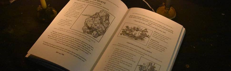 Compendium of Magical Ingredients &amp; Curios, Vol. I