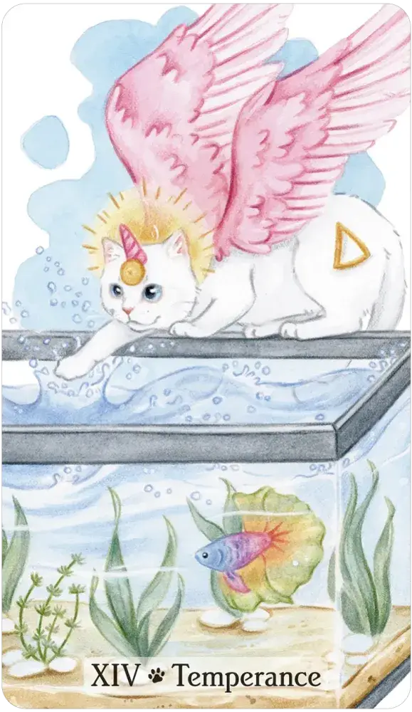 Caticorn Tarot card artwork view 2