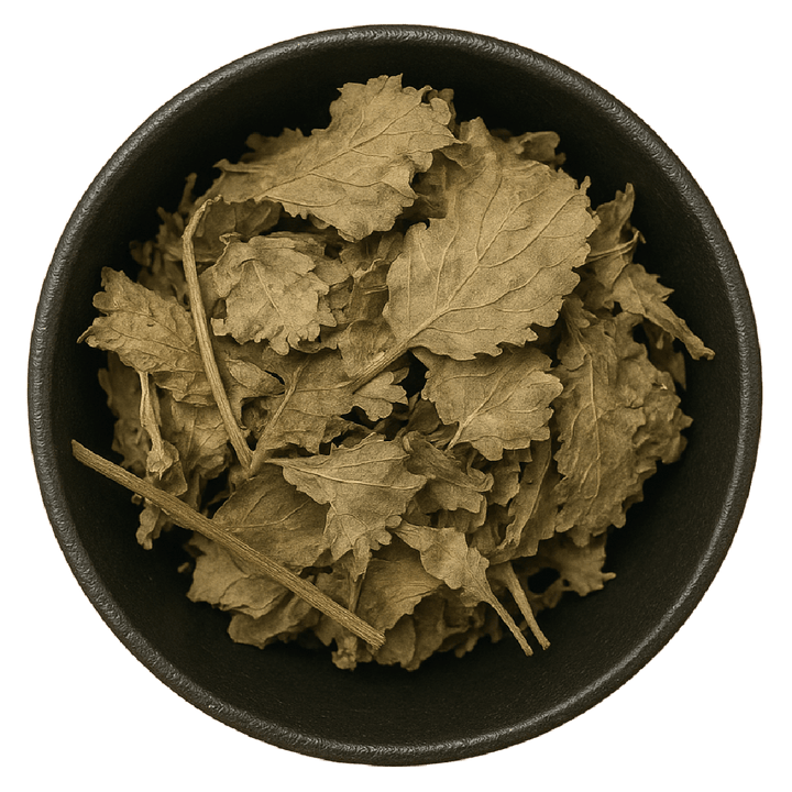 Patchouli Leaves – Ritual Herb Jar