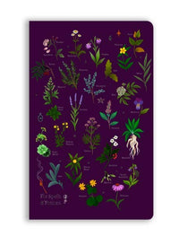 Anna Stead: For Spells & Potions Soft Touch Journal