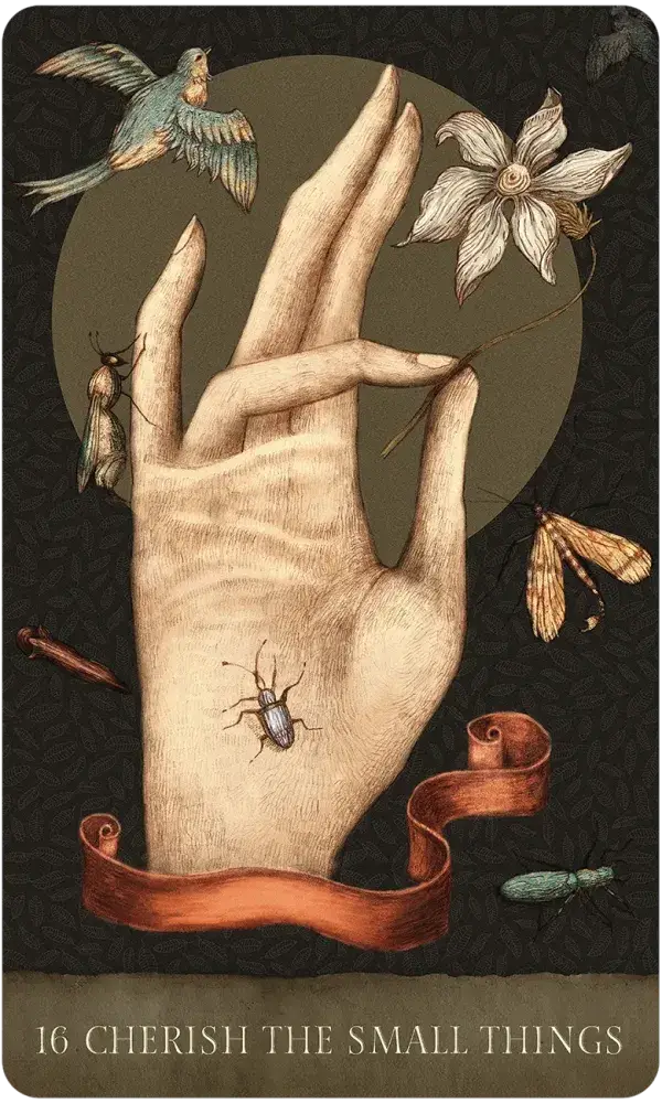 Dream Song Oracle card artwork view 5