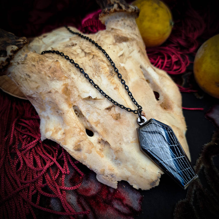 Black coffin-shaped real spiderweb pendant displayed on a chain