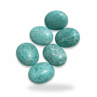 Amazonite Palm Stone
