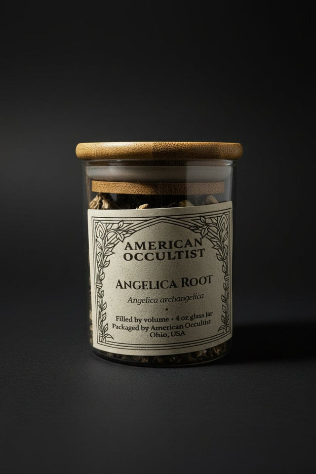 Dried angelica root (Angelica archangelica) in a labeled glass ritual herb jar
