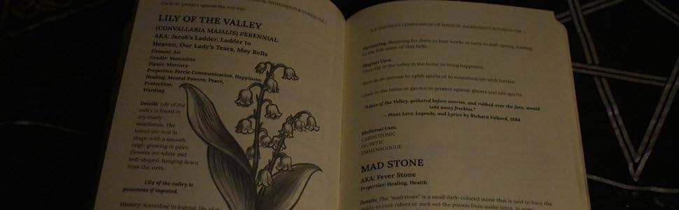 Compendium of Magical Ingredients &amp; Curios, Vol. I