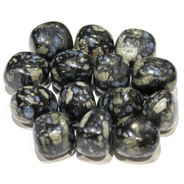 Assortment of polished Glaucophane stones