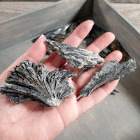 Black Kyanite Angel Wings