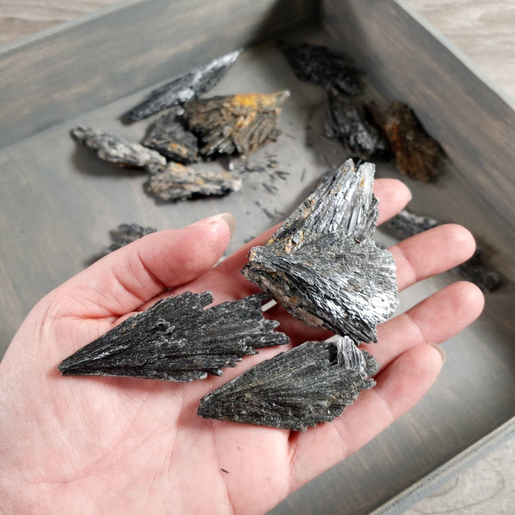 Black Kyanite Angel Wings