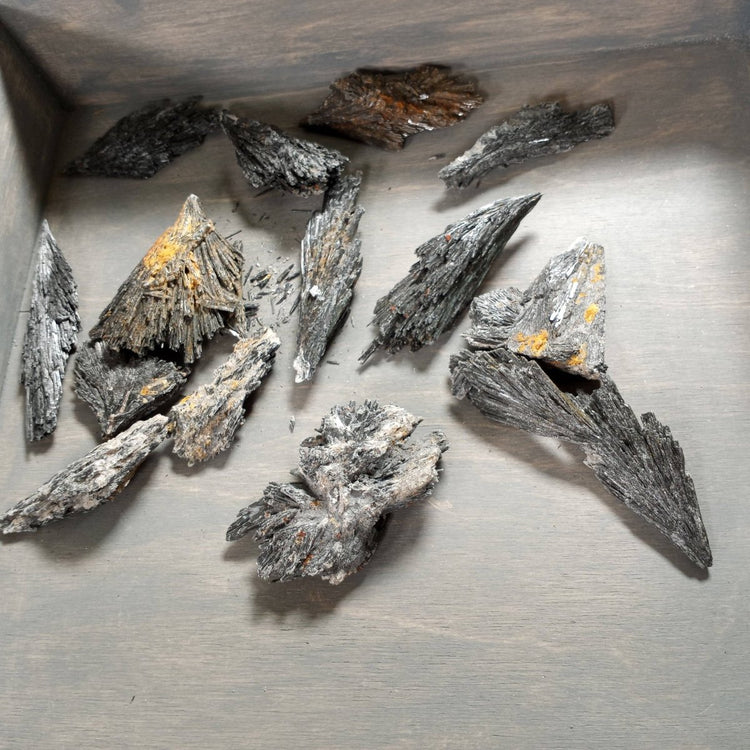 Black Kyanite Angel Wings