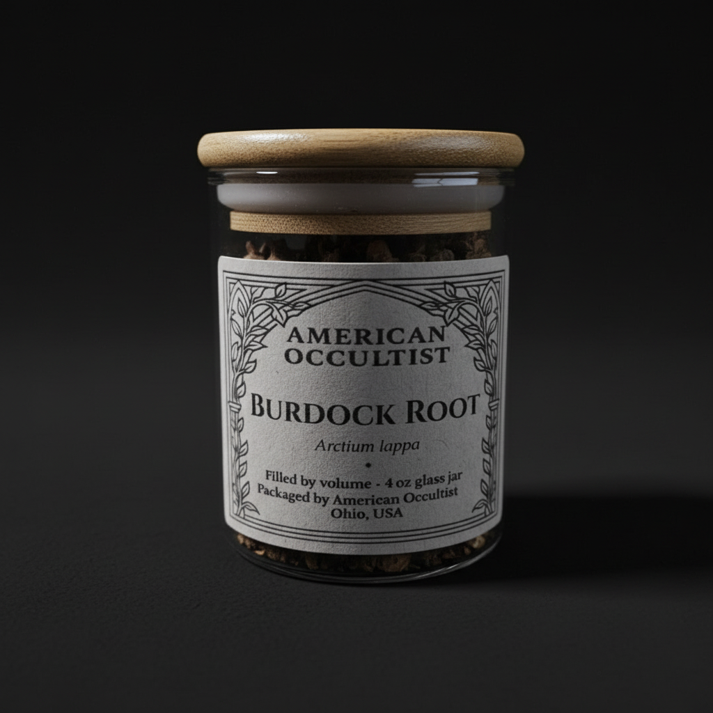 Organic dried burdock root (Arctium lappa) in a labeled glass ritual herb jar
