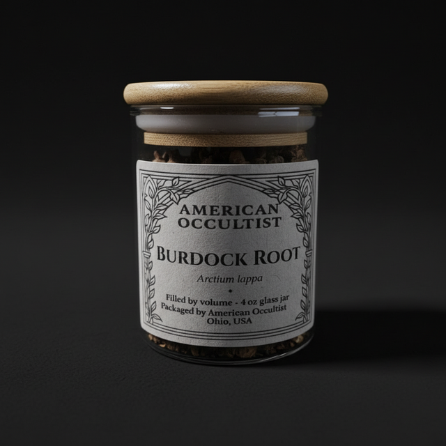 Organic dried burdock root (Arctium lappa) in a labeled glass ritual herb jar