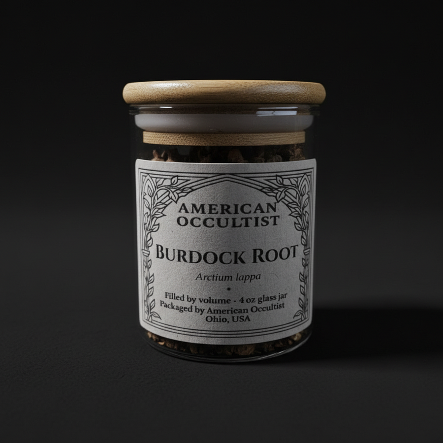 Burdock Root (Arctium lappa) – Ritual Herb Jar