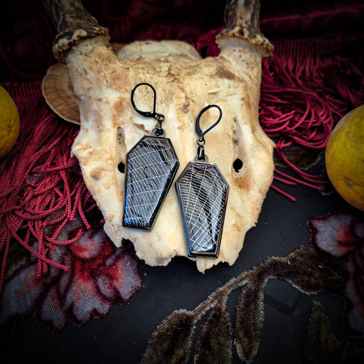 Real Spiderweb Coffin Black Earrings