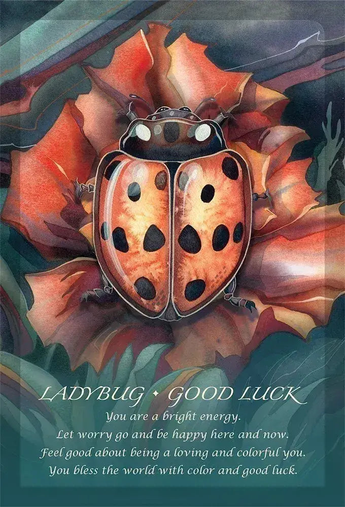 Spirit of the Animals Oracle cards spread