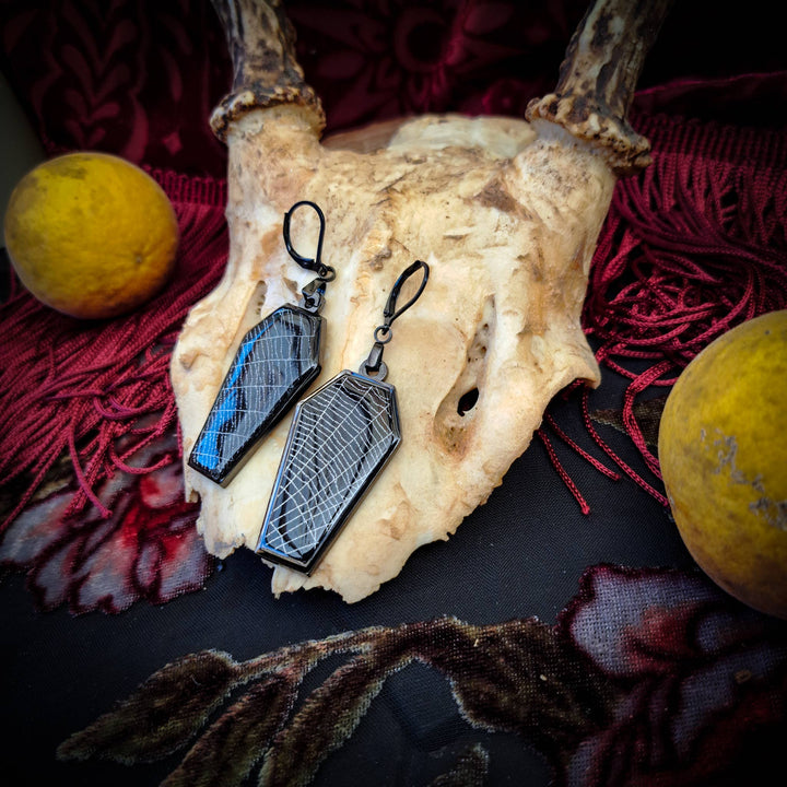 Pair of black coffin-shaped real spiderweb earrings