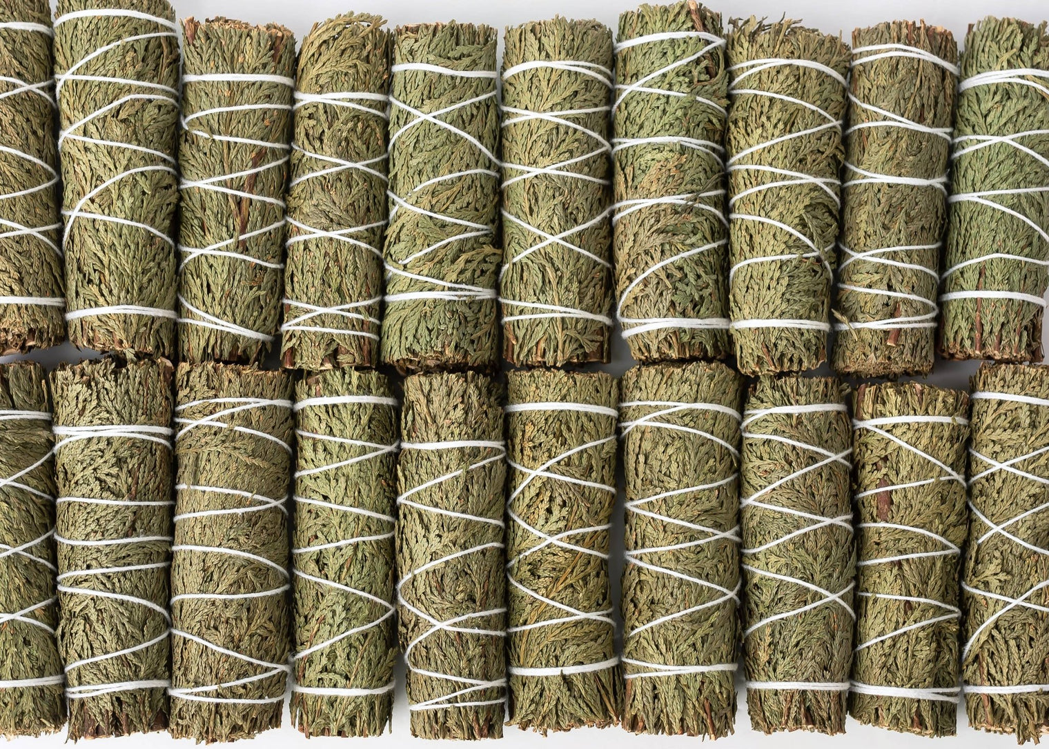 Multiple bundles of dried herbs tied with white string on a white background