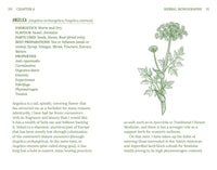 Herbalism (Arcturus Hidden Knowledge)