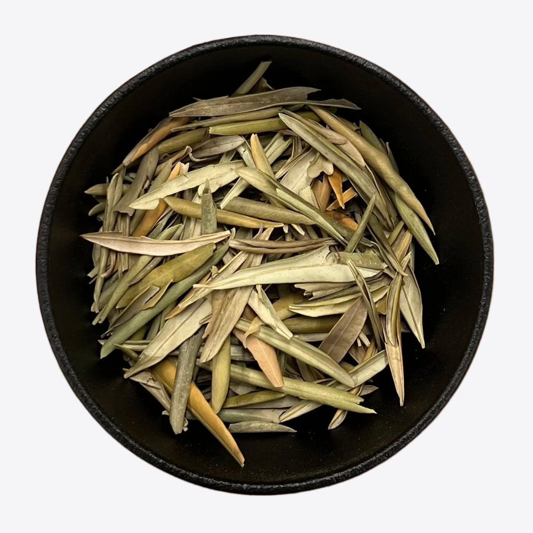 Olive Leaf (Olea europaea) – Ritual Herb Jar